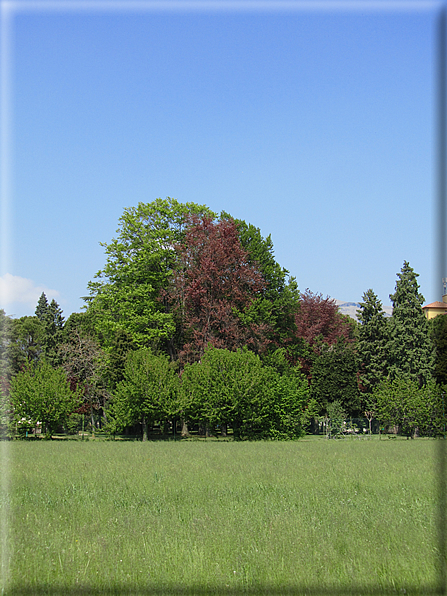 foto Paesaggi tra i Colli